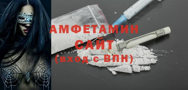 гидра Ельня