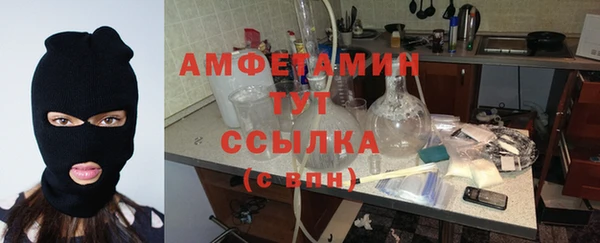 мет Елабуга