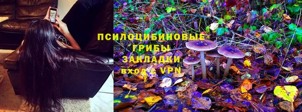 гидра Ельня