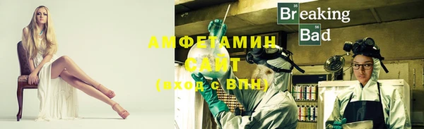 гидра Ельня