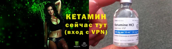 гидра Ельня