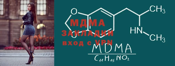 гидра Ельня