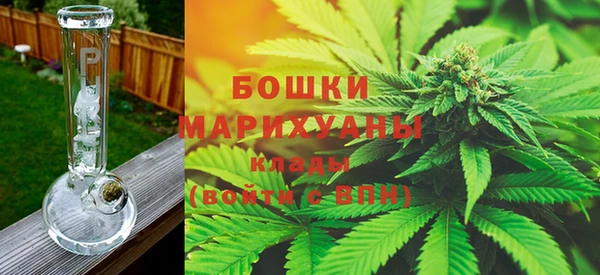 гидра Ельня