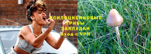 гидра Ельня