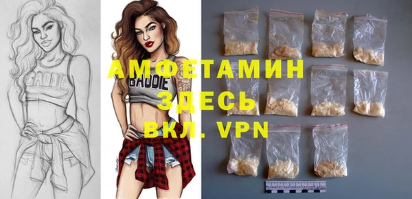 гидра Ельня