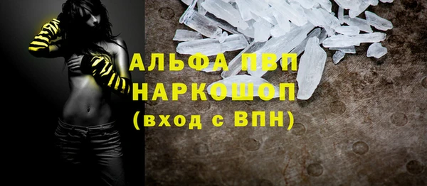 гидра Ельня
