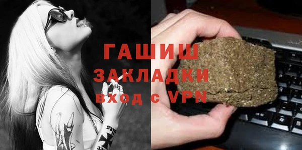 гидра Ельня