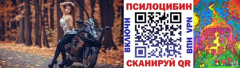 Псилоцибиновые грибы мухоморы  гидра ссылки  Истра 